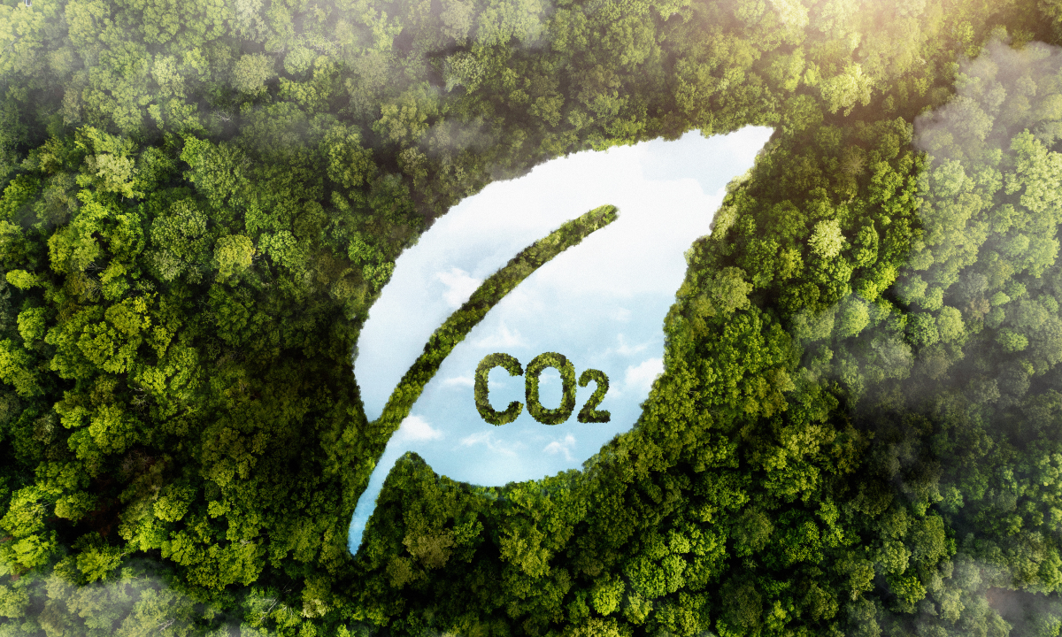 Mudanças climáticas: dicas de pequenas ações para salvar o planeta