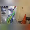 Imagem ilustrativa da imagem Balão de 7 metros apreendido na Região Oceânica de Niterói