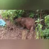 As obras integram cronograma de manutenção e melhorias