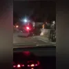 A ave voltou a voar em liberdade no Parque da Cidade, em São Francisco