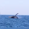 Fenômeno representa risco elevado para atividades no mar e nas áreas costeiras