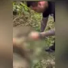 Imagem ilustrativa da imagem Crueldade em Búzios: dois cachorros são amarrados e mortos