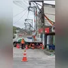 Imagem ilustrativa da imagem 'Gatos de luz' são flagrados em bares e abatedouro em SG