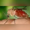 Quatro pessoas morreram no Rio de Janeiro e uma no Espírito Santo