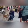 Até o momento, não há informações sobre a causa do incêndio nem registro de feridos