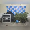 O carro foi recuperado por policiais civis