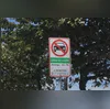A ave recebeu os primeiros cuidados ainda no local e foi encaminhada a um centro veterinário especializado para avaliação e tratamento