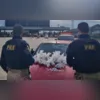 Entre os detidos está um homem apontado como o segundo na hierarquia da milícia que atua em Curicica