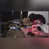 Imagem ilustrativa da imagem Preso terceiro suspeito de roubar casa da família Bolsonaro em Resende