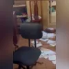 Imagem ilustrativa da imagem Suspeitos de roubo à casa dos ex-sogros de Bolsonaro são presos