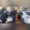 A PM foi até o local a partir de informações do Disque Denúncia