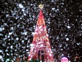 Acusação de superfaturamento suspende Natal na Baixada