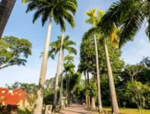 Entrada gratuita para crianças na reabertura do Bioparque, no Rio