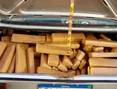 Entrega cancelada: polícia apreende drogas na Dutra