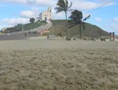 Mar agitado espalha espuma pela orla da Região dos Lagos; vídeo