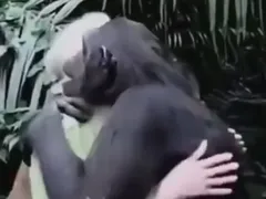 Abraço de chimpanzé em cientista emociona internautas; vídeo