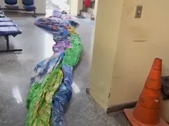 Balão de 7 metros apreendido na Região Oceânica de Niterói