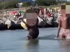 Banhista é flagrado segurando tartaruga em praia de Niterói