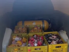 Dono de frigorífico é preso com carga de carne roubada em SG