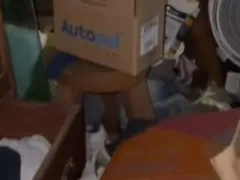 Mário Gomes mostra como ficou a casa após invasão no Rio