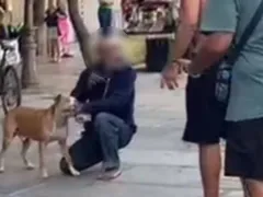 Pitbull ataca e mata poodle em calçadão da Zona Sul do Rio
