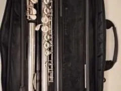 Procura-se o dono de uma flauta esquecida em BRT, no Rio