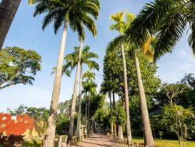 Entrada gratuita para crianças na reabertura do Bioparque, no Rio