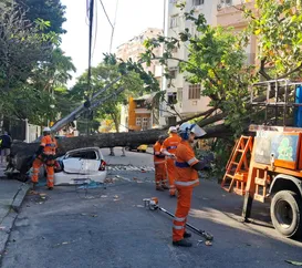 Árvore cai em cima de carro e interdita rua no Rio