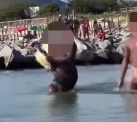 Banhista é flagrado segurando tartaruga em praia de Niterói