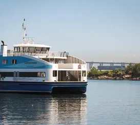 Barca faz parada de emergência para resgate de passageiro