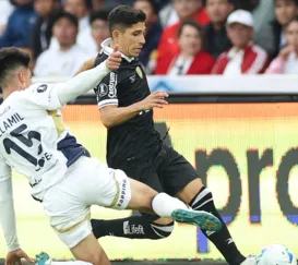 Botafogo perde o jogo e a classificação para a LDU na Liberta