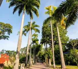 Entrada gratuita para crianças na reabertura do Bioparque, no Rio