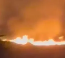 Incêndio atinge área de vegetação em Niterói; vídeo