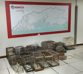 Mais de 30 aves mantidas em cativeiro são resgatadas em Maricá