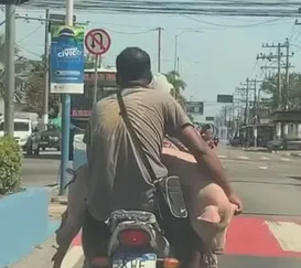 Porco é amarrado e levado em moto na Baixada; vídeo