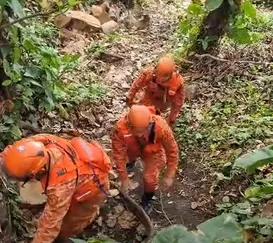 Professor aposentado com Alzheimer desaparece em trilha no Rio