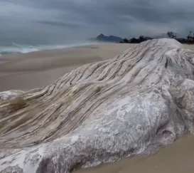 Vídeo: baleia é achada morta e encalhada em praia de Maricá