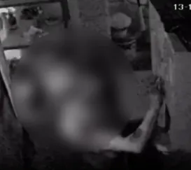 Vídeo mostra ladrão furtando restaurante em Niterói