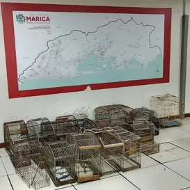 Mais de 30 aves mantidas em cativeiro são resgatadas em Maricá