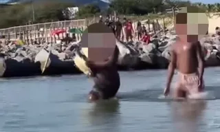 Imagem ilustrativa da imagem Banhista é flagrado segurando tartaruga em praia de Niterói