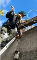 Imagem ilustrativa da imagem Cobra de 3 metros surge em muro de casa em Niterói; vídeo