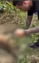 Imagem ilustrativa da imagem Crueldade em Búzios: dois cachorros são amarrados e mortos