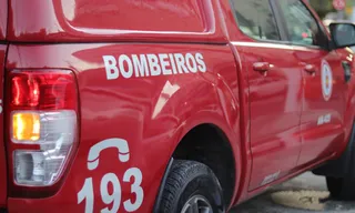 Imagem ilustrativa da imagem Idosa morre atropelada por caminhão na BR-101