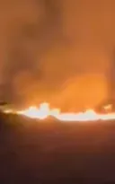 Imagem ilustrativa da imagem Incêndio atinge área de vegetação em Niterói; vídeo