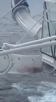 Imagem ilustrativa da imagem Mulher fica presa em toboágua a 50 metros do mar; vídeo