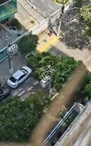 Imagem ilustrativa da imagem Queda de árvore bloqueia rua na Zona Sul de Niterói