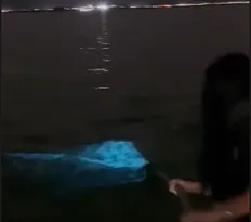 Imagem ilustrativa da imagem Fenômeno ilumina lagoa de Maricá e encanta moradores