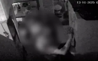 Imagem ilustrativa da imagem Vídeo mostra ladrão furtando restaurante em Niterói