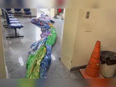 Imagem ilustrativa da imagem Balão de 7 metros apreendido na Região Oceânica de Niterói