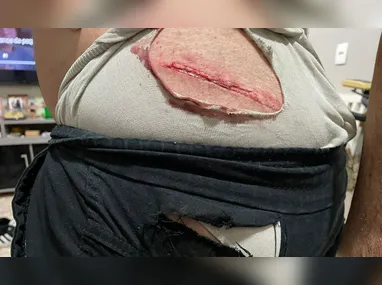 Animais de grande porte soltos colocam em risco a segurança de motoristas e pedestres